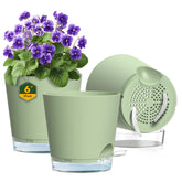 Meowell 6-inch self-watering pot with inside view for healthy root hydration.
