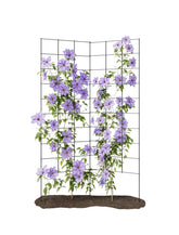 Meranti 2-Panel Folding Garden Trellis ready to use supports climbing plants instantly.