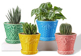 Metahom succulent pot with embossed rim for stylish indoor display.