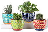 Metahom succulent pot with red geometric pattern brightens the windowsill display