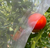 Meuallikit garden netting 10x20 provides insect barrier with breathable airflow