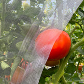 Meuallikit garden netting ultra-fine holes—close-up showing airflow-friendly protection.