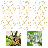 Mewcooss bamboo stem supports set for heavy Monstera vines staying upright.
