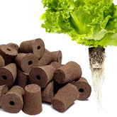 MEYCEMT hydroponic sponges 50-pack for reliable seed germination