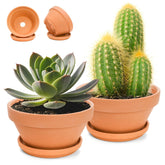 Mezchi 8-inch terracotta pot with saucer for healthy root drainage.