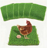 MIAOXSEN washable nesting pad 12x12 six-pack, easy to clean in a coop.
