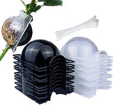 Miim air layering kit ball medium shows growth progress with easy installation.