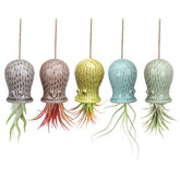 Mimeela octopus air plant holder in yellow adds playful home decor