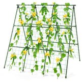 Miory cucumber trellis front view supports climbing cucumbers in raised beds for space efficiency.