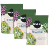 Miracle-Gro Succulent Potting Mix 4qt bag for thriving indoor succulents