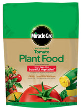 Miracle-Gro tomato plant food jar ready to feed for bigger harvest.