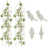 Miuwauer obelisk trellis 6ft supports roses and climbers for upright growth.