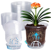 MIXC 12-pack self-watering pot with clear reservoir for moisture checks.