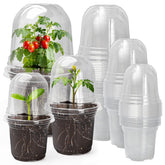 MIXC Clear Nursery Pot 5-inch with humidity dome shows clear root observation and faster germination