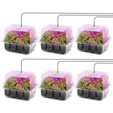 MIXC Seed Starter Kit cover shows a compact seedling greenhouse for indoor starts.