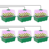 MIXC Seed Starter Kit with elevated humidity dome supports indoor seedling growth.