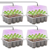 MIXC seed starter kit with grow light and elevated dome supports indoor germination