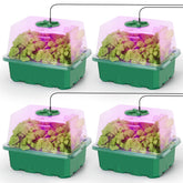 MIXC seed starter kit with grow light for indoor seedling growth.