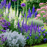 Mixrug butterfly bush seeds pack ready for outdoor planting and vibrant color