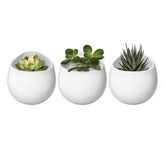 Mkono 4-inch wall-mounted planter in round ceramic with white matte finish for chic indoor display