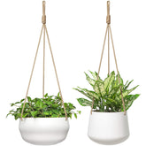 Mkono ceramic hanging planter shallow 8-inch for compact indoor greenery