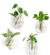 Mkono propagation oblate terrarium hanging on wall for stylish plant display and viewing roots
