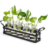 Mkono propagation stations with metal stand displaying clear glass bottles for root observation