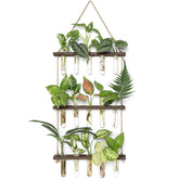 Mkono three-tier propagation tubes with wooden stand for stylish window display.
