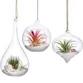 Mkono teardrop terrarium hanging vase for compact greenery and modern display