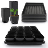Mlhezy seedling cups 80pcs with drainage holes support healthy germination.