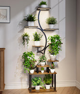 Mogaath plant stand with grow lights showing three-head LEDs for balanced indoor illumination