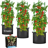 Moirsunt tomato planter set packaging with cages and bags for easy setup