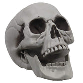 MOKRY PARTY life-size skeleton skull for outdoor displays, sturdy and weather-ready.