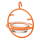 Monarch Abode oriole feeder with orange frame attracts fruit-loving birds.