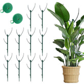 10pcs stackable monstera plant support stakes close-up showing sturdy vertical support for vines