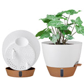 Montresor 10-inch self-watering pot with water level window for easy monitoring.