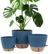Montresor self-watering pot with water window for easy moisture monitoring.