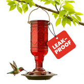 More Birds Red Jewel Hummingbird Feeder bottle closeup highlighting vivid red glass to attract hummers