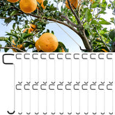 MorningRo fruit tree limb spreaders 7 inch spread branches for better light exposure