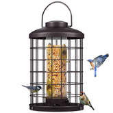Mosloly copper caged feeder with clear tube for easy seed monitoring.