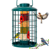 Mosloly caged bird feeder front view in green attracts wild birds to your garden.