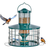 Mosloly Upgraded Caged Bird Feeder front view showing squirrel-proof protection for songbirds