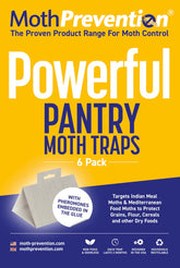 MothPrevention pantry moth traps pack-6 set protects stored foods in busy kitchens.