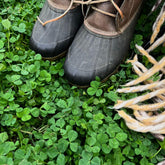 Mountain Valley Seed Co micro clover seed packet for lawn planting.
