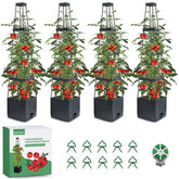 MQFORU tomato planter with trellis outdoors supports climbing plants and vertical growth