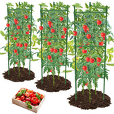 MQHUAYU tomato cage 3-pack triangle configuration supports tall climbing plants