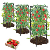 MQHUAYU tomato cages front view showing sturdy square frame for climbing vegetables.