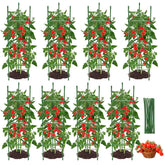 MQJIAZHI tomato cage with adjustable height supports tall vines for balanced growth