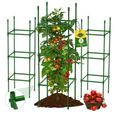 MQJIAZHI square tomato cage assembled for sturdy garden support.