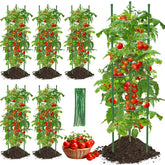 MQJIAZHI tomato cage with triangular base for wind-resistant ground support.